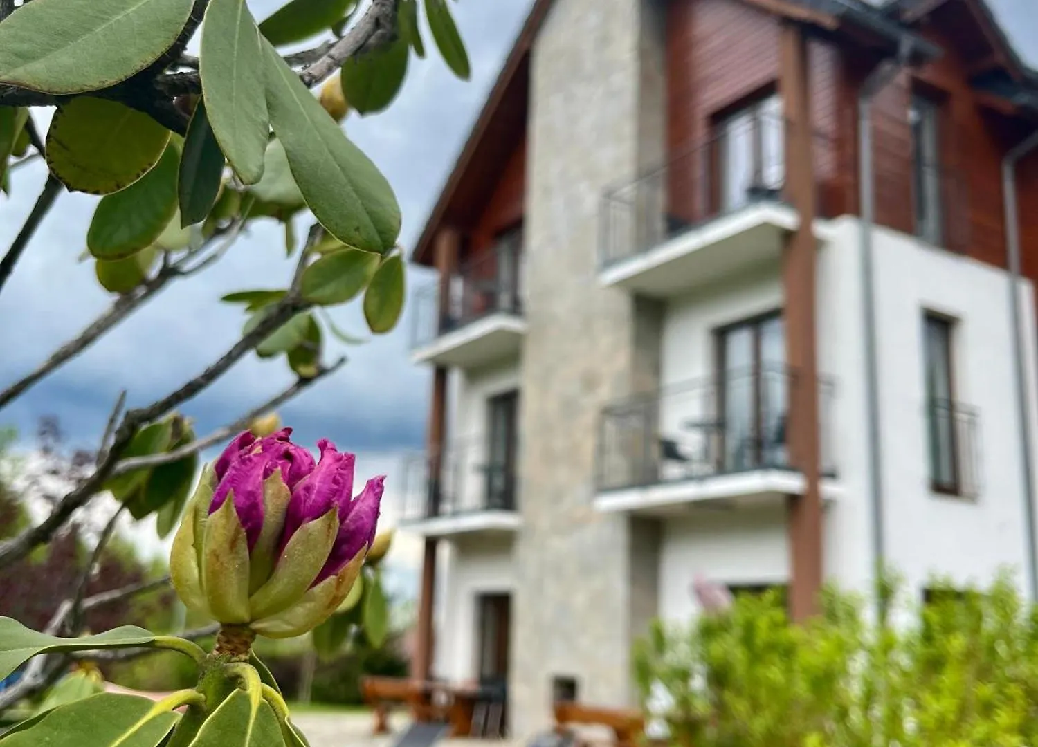Karkonoskie Widoki Apartamenty Karpacz Hotel apartamentowy