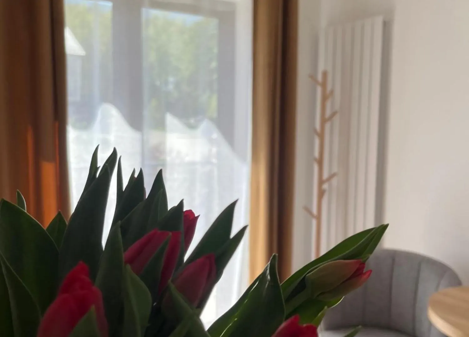 Aparthotel Karkonoskie Widoki Apartamenty Karpacz Poland
